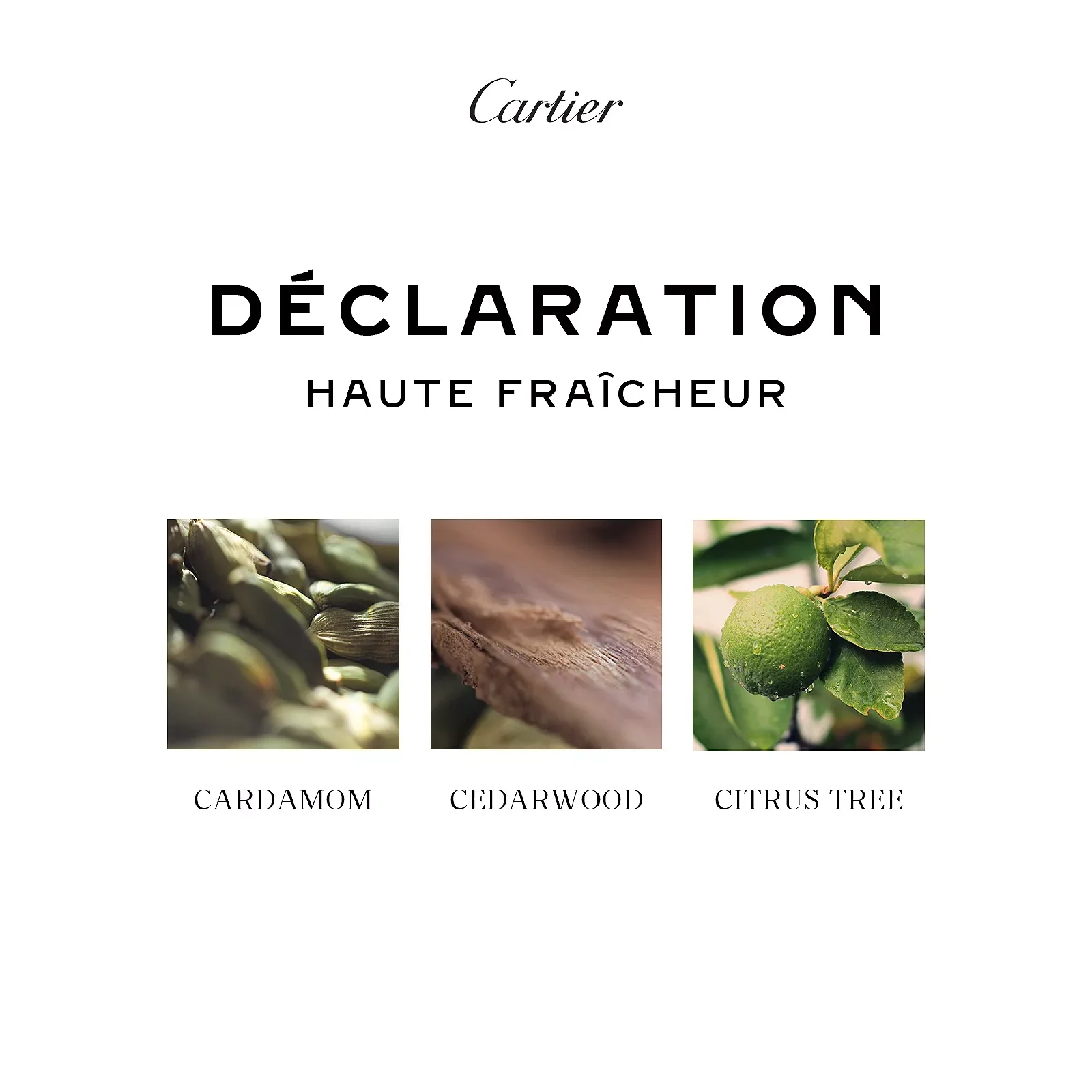 Déclaration Haute Fraîcheur EDT - Image 5