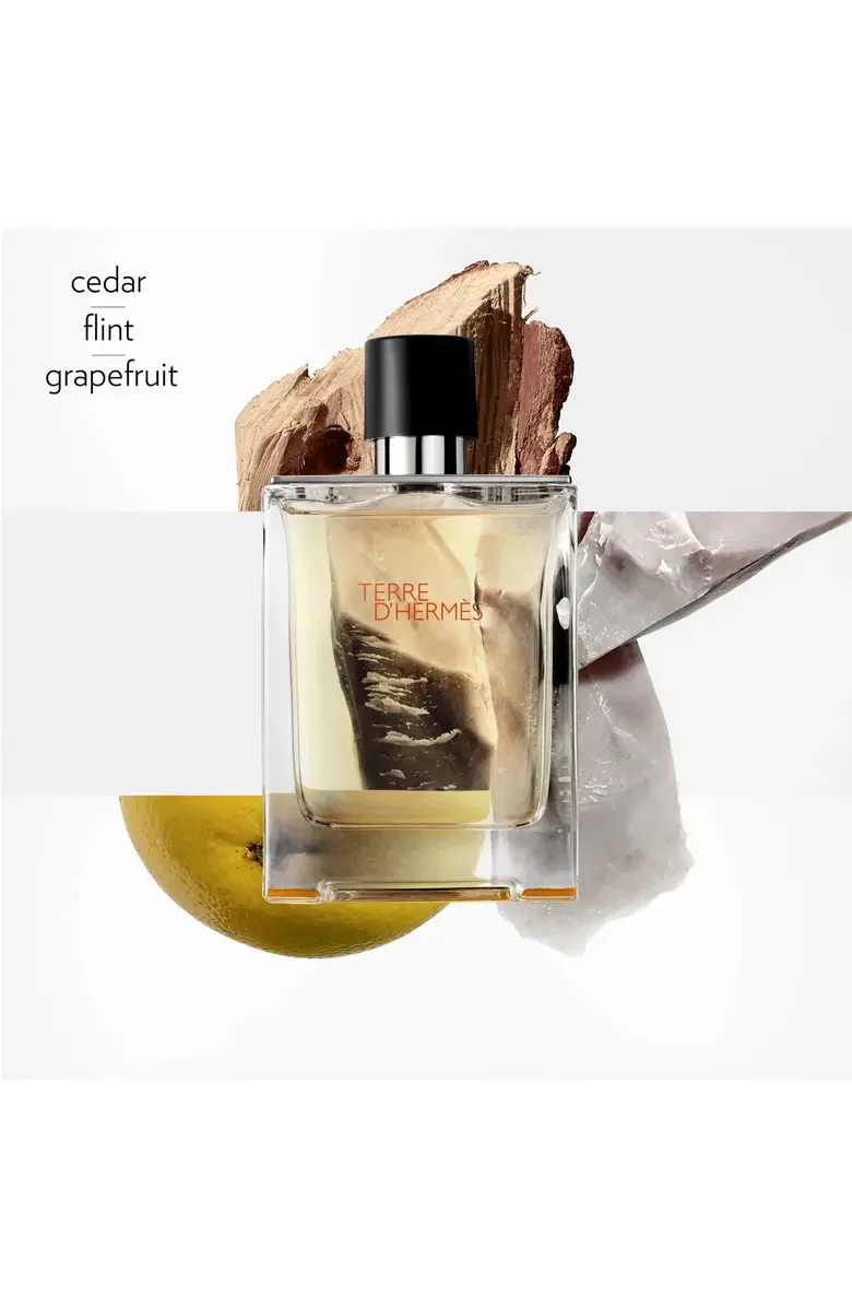 Hermes Terre D'hermes Eau de Toilette for Men - Image 38