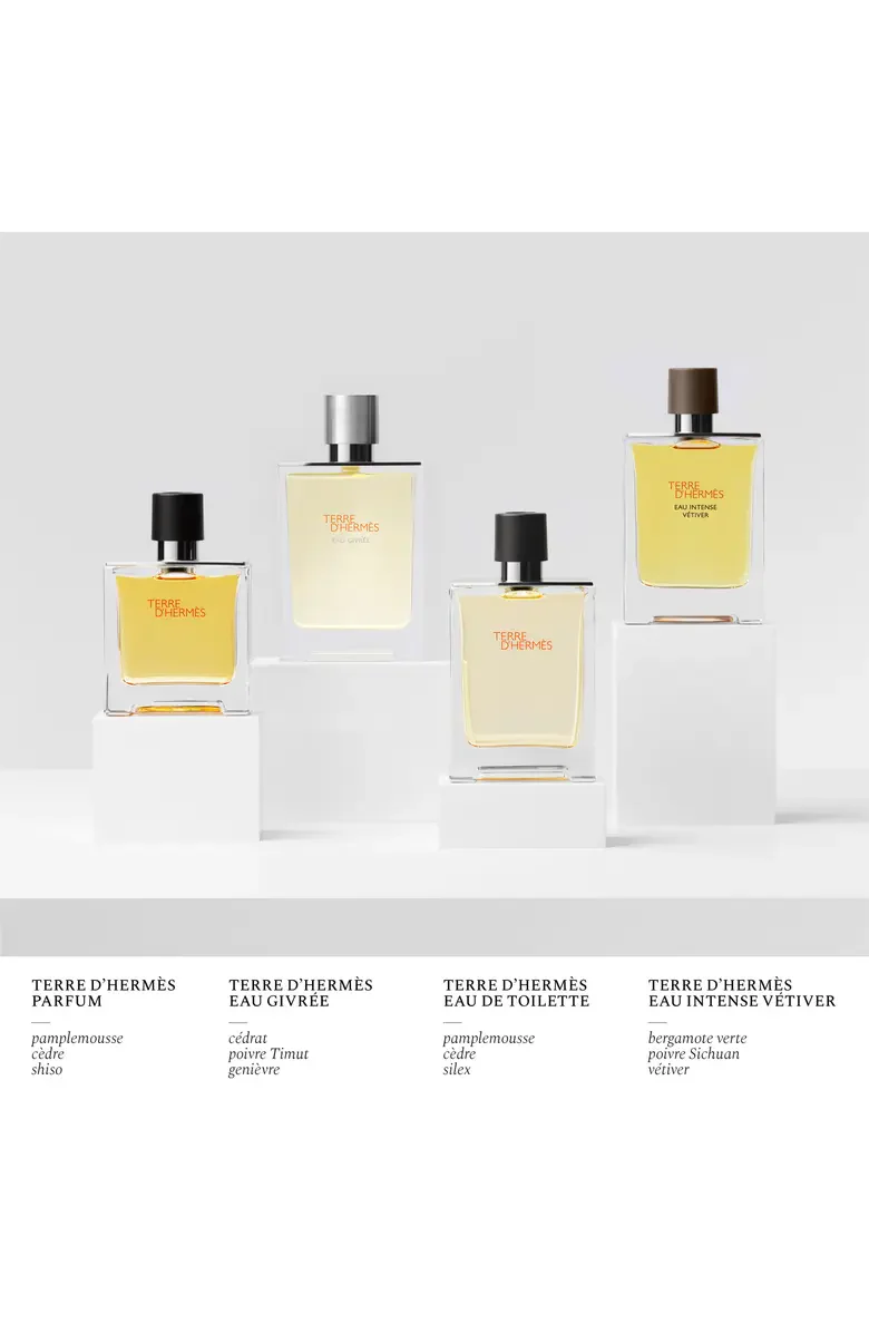 Hermes Terre D'hermes Eau de Toilette for Men - Image 39