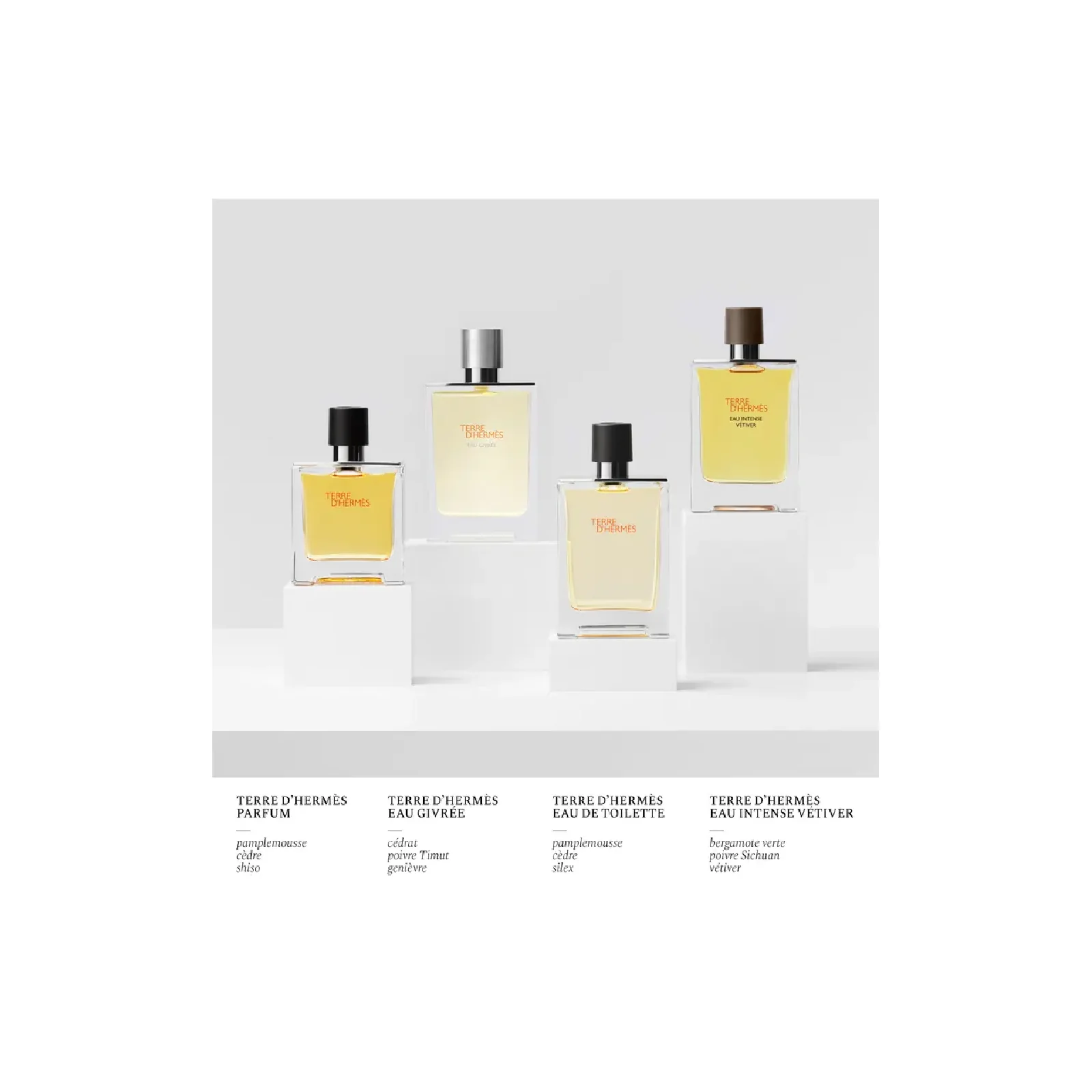 Hermes Terre D'hermes Eau de Toilette for Men - Image 7
